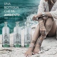 photo Wild - Message in a Bottle - Tattoo | Solis 700 ml 4